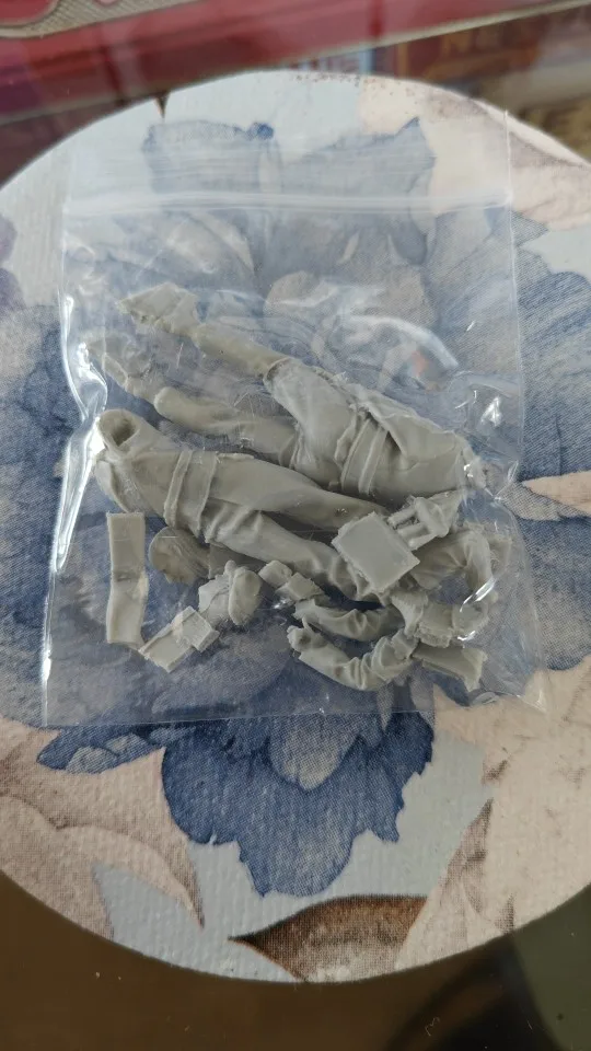 Buyer photo of this resin kit