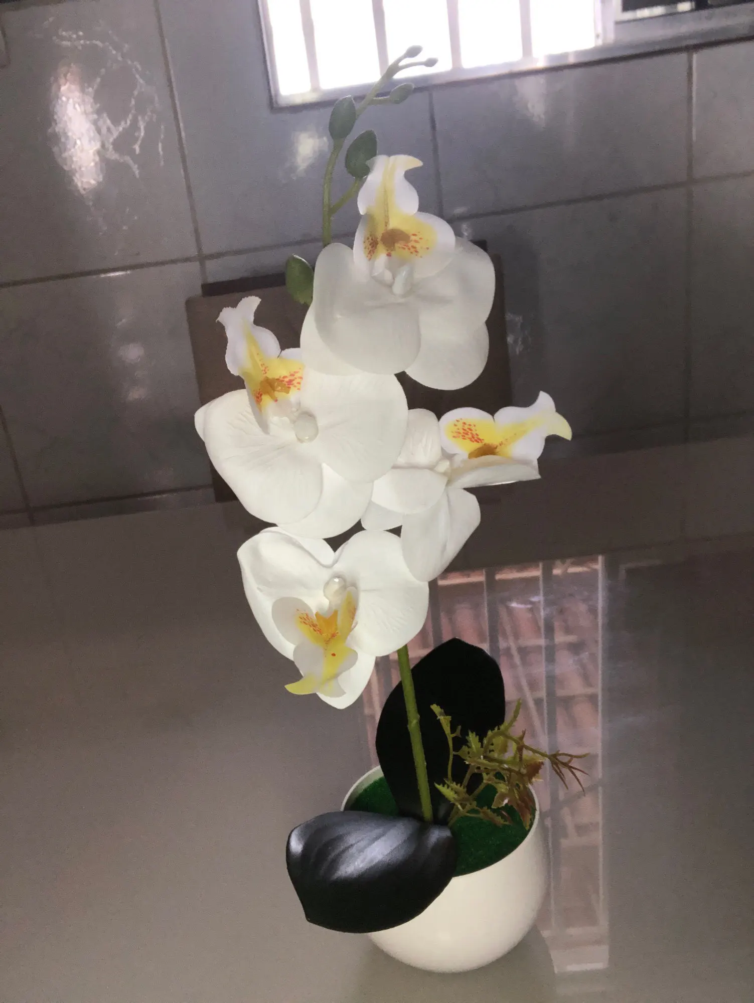 Customer photo