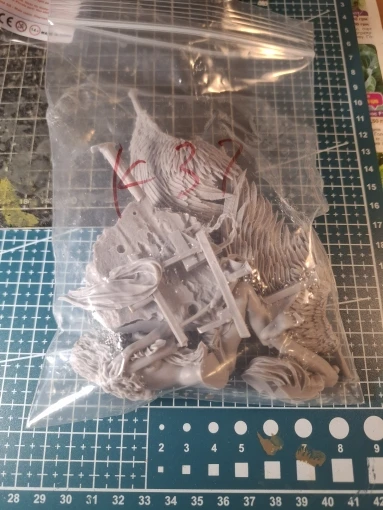 Buyer photo of this resin kit