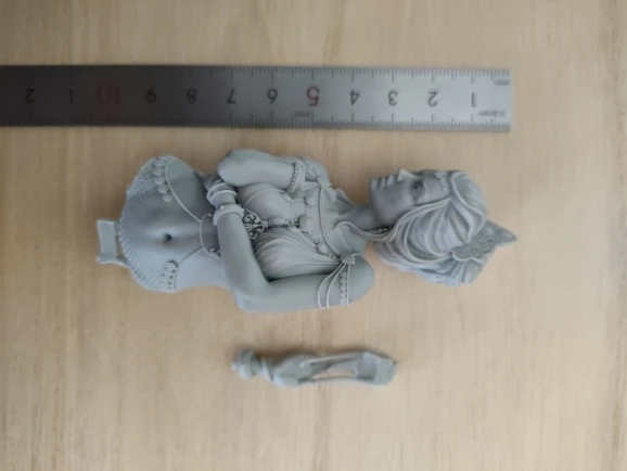Buyer photo of this resin kit