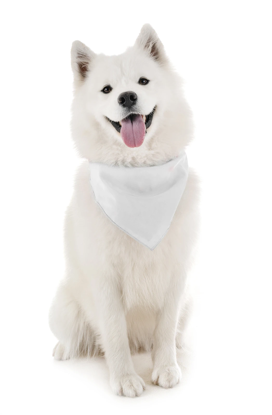 Pack of 60 Bandanas for Dog Cotton Solid Regular Size