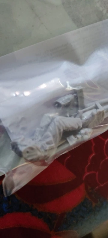 Buyer photo of this resin kit