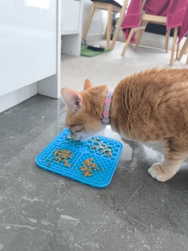Customer review photo for Dog Lick Mat with Suction Cups
