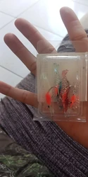 Imagen de reseña 1