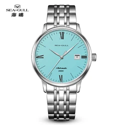 Seagull Minimalist Roman Series Automatic Mechanical Watch for Men Sapphire 50M Waterproof Business Causal Wristwatch Male 6173