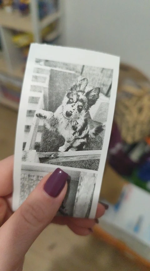Foto de cliente FotoPrinty