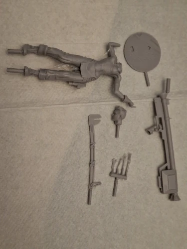 Buyer photo of this resin kit