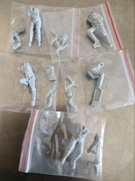 Buyer photo of this resin kit