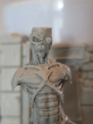 Buyer photo of this resin kit