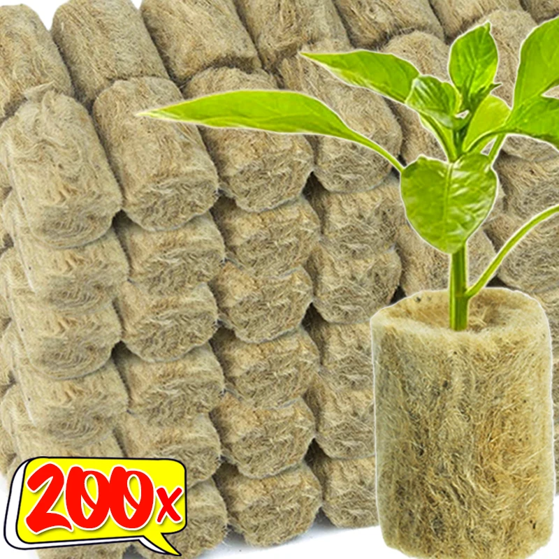 10/200PCS Seedling Grow Plugs Hydroponic Grow Media Cubes Planting Block Soilless Substrate Rock Wool Greenhouse Garden Supply