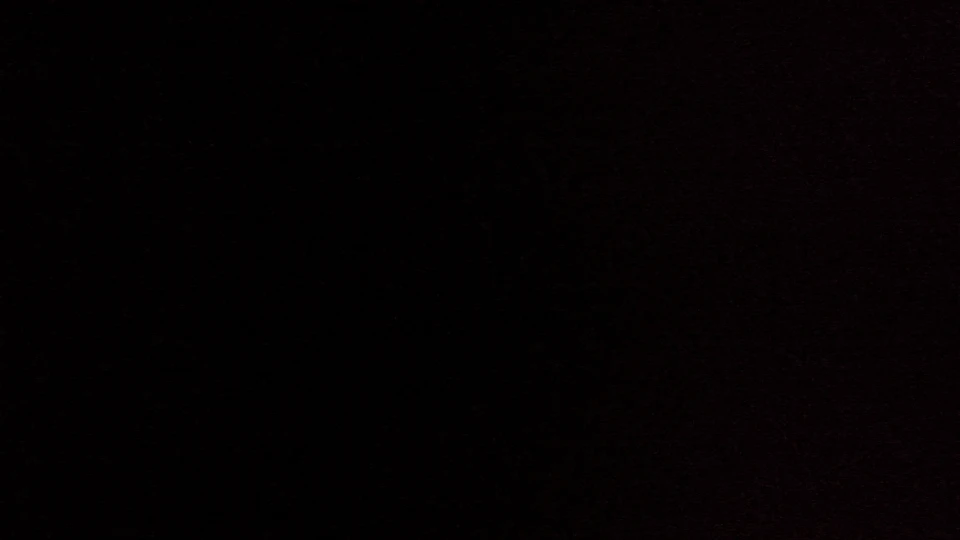 실물 포토 리뷰