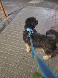 Imagen de reseña 2