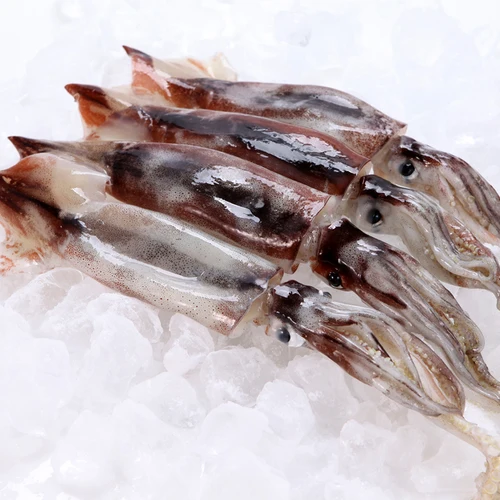 [프리시즌]딩고껌 연어껌(25P/2.5인치),강아지간식, 애견간식,개껌  Best5