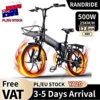 Randride YA20 Folding Electric bike 500W 12.8Ah removable Lithium battery Mini bike with disc brakes and mudguard Electric bike