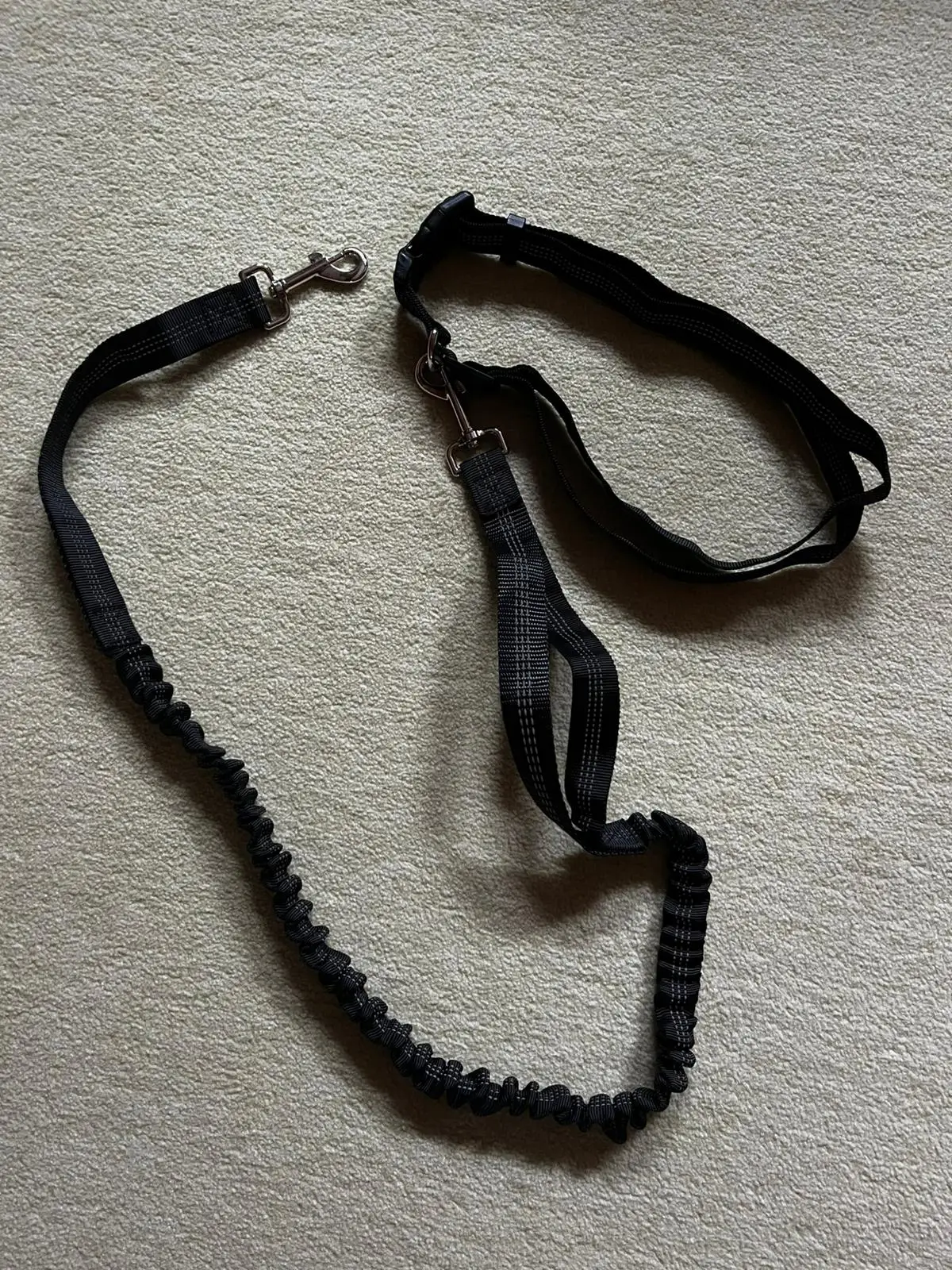 Customer review photo for Hands-Free Bungee Dog Leash with Adjustable Waist Belt