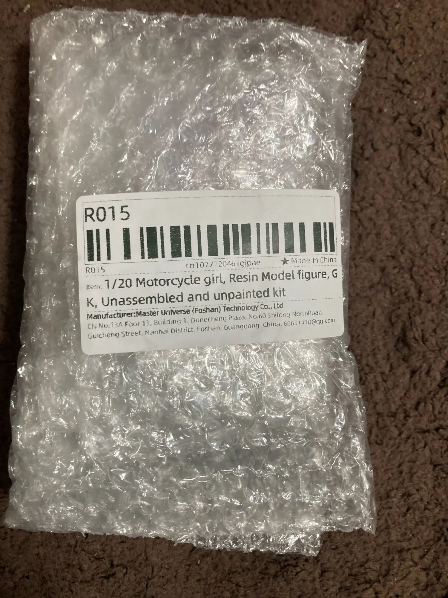 Buyer photo of this resin kit