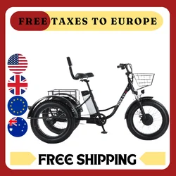 Fat Tire Electric Bicycle 20 Inch 3 Wheel Electric Cargo Bike For Adults Women Men Powerful 48V 500W Lithium Battery Removable