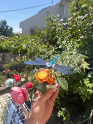 Imagen de reseña 1