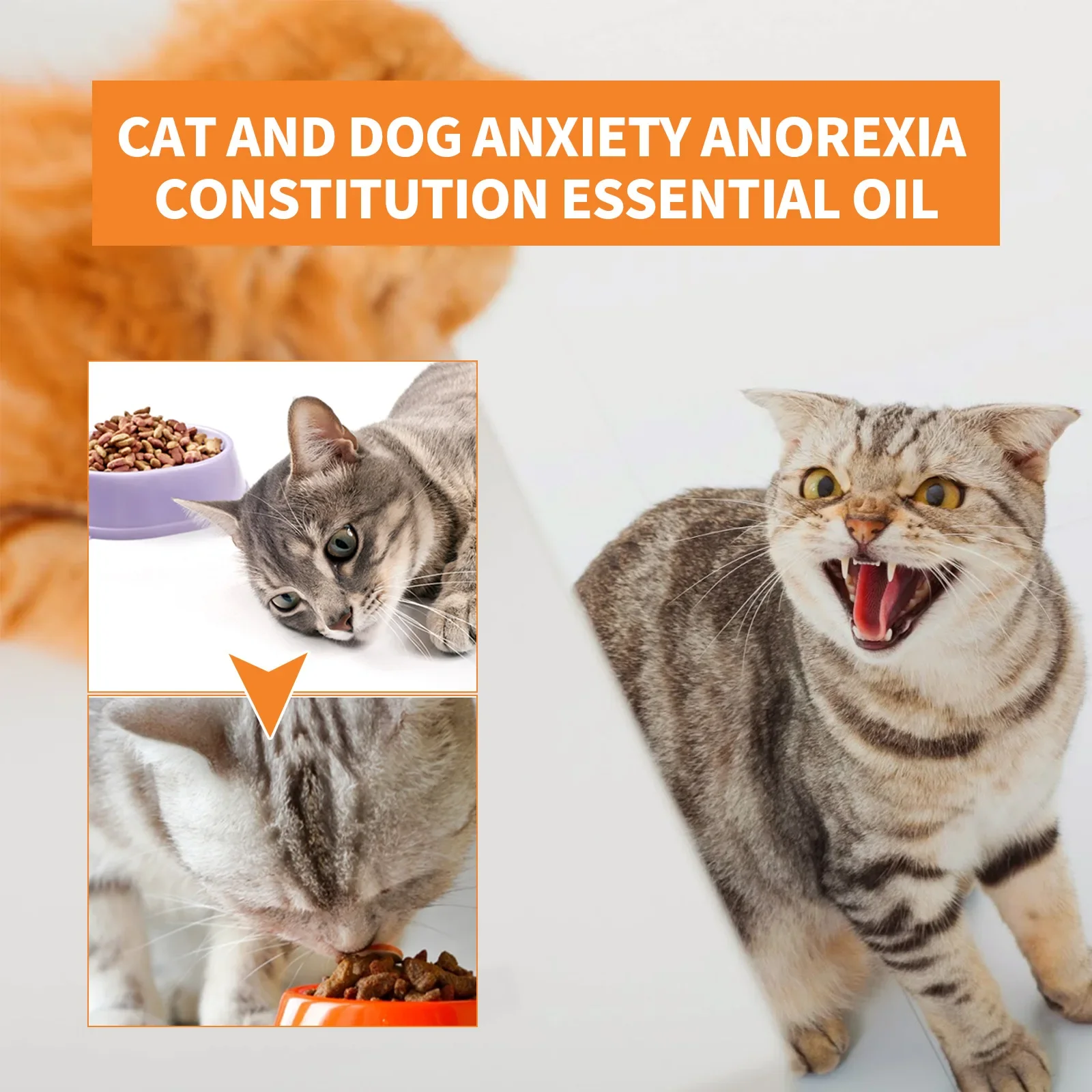 Pet Calming Drop Reduce Stress Anxiety Enhance Appetite Dog Lasting Calming Improve Physical Fitness Cat Organic Essential Oil