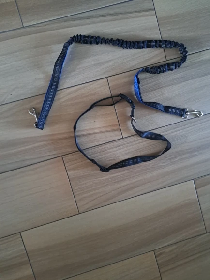 Customer review photo for Hands-Free Bungee Dog Leash with Adjustable Waist Belt