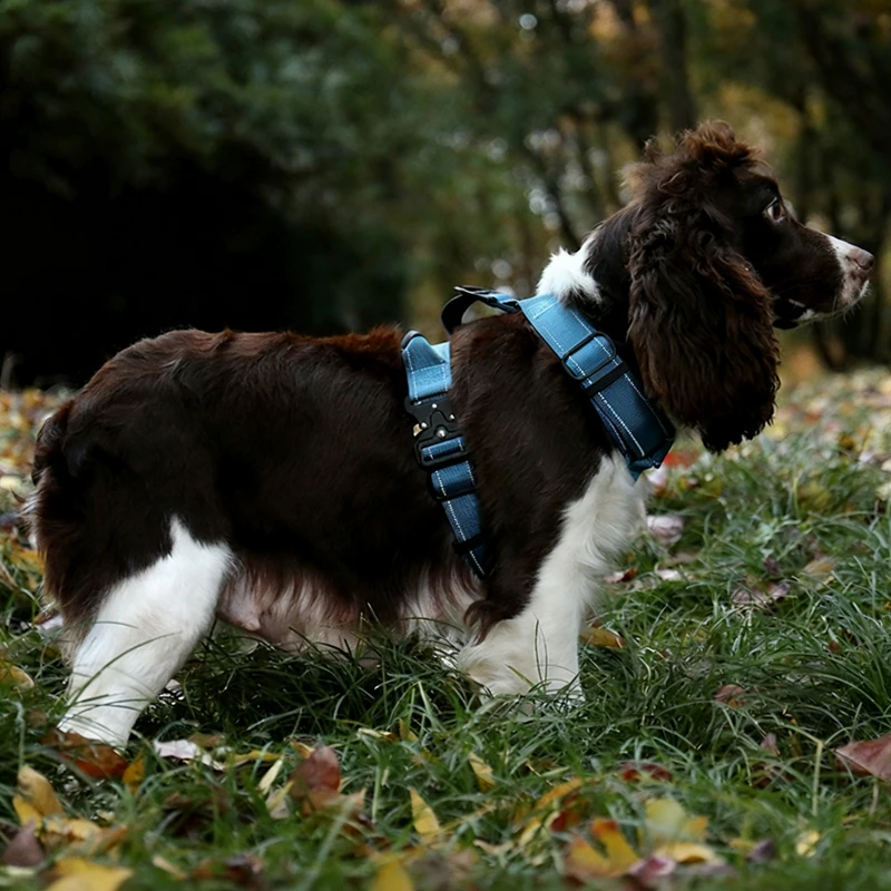 Arnés antitirones en Y acolchado para perros – Ajustable con asa - imagen 3