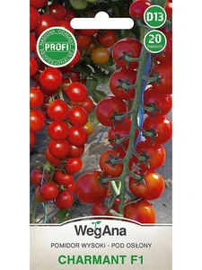 8ベストセールス野菜シード-6