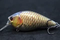 HC25X464