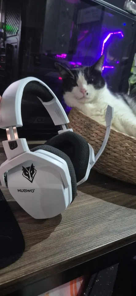 NUBWO G06 2.4G Dual Wireless Gaming Headset 5ms Low Latency 7.1 Surround ENC Mic For PC PS4 PS5 Gaming Bluetooth Headphones photo review