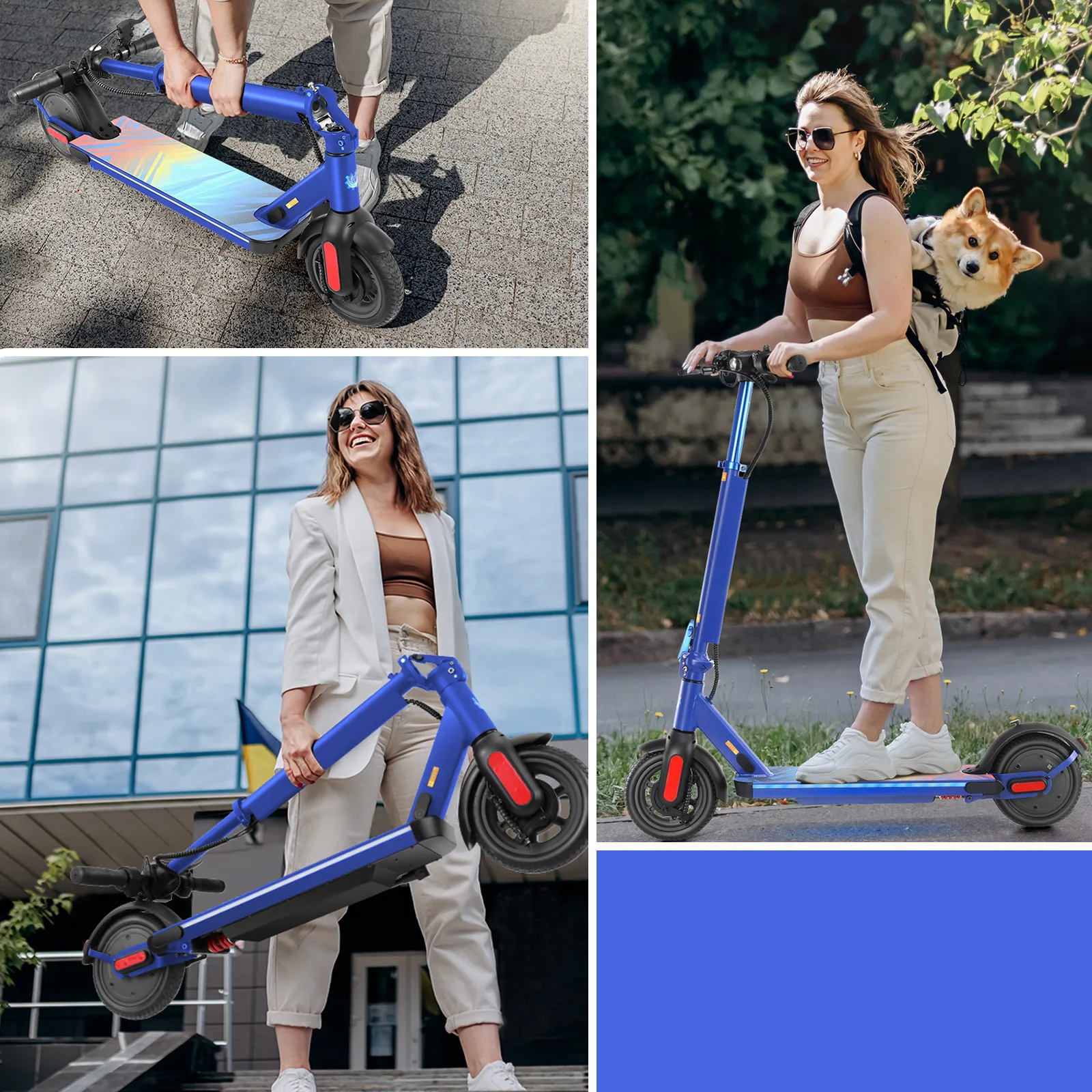 سكوتر كهربائي 350 واط 25 ميجا المدى 20Mph 8.5 "إطارات صلبة للبالغين قابلة للطي مثبت السرعة المزدوج الفرامل امتصاص الصدمات