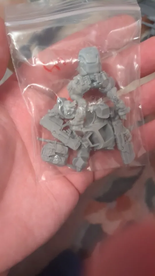 Buyer photo of this resin kit