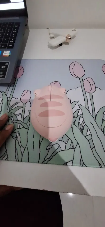 리뷰 사진