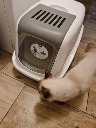 Customer review photo for Double-Layer Cat Litter Mat