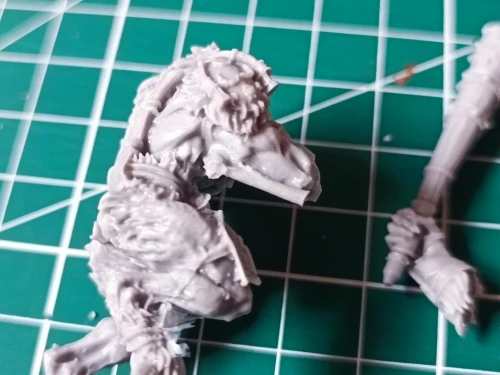 Buyer photo of this resin kit