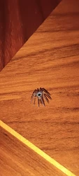 Imagen de reseña 3