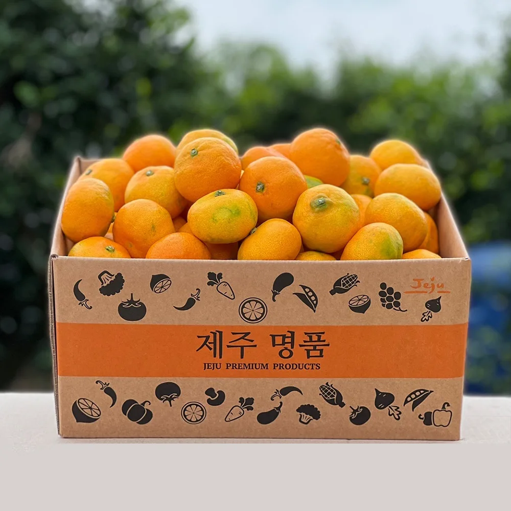 Jeju-do tangerine citrus 2kg,3kg,4.5kg Royal (S-M)/actual weight 귤 감귤 조생귤