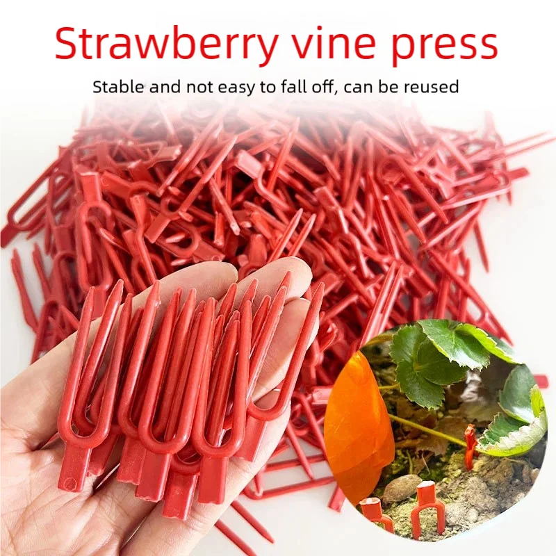 Plant Pins Plant Clips For Climbing Plants Strawberry Support  Plastic Gardening Pin Fixing Vines Such As Flowers Strawberries