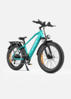 ENGWE-E26/ST E-Bike 26*4.0 Inch Fat Tire Electric Bicycle 250W Motor 48V 16AH Battery Max Range 140km Max Speed 25km/h