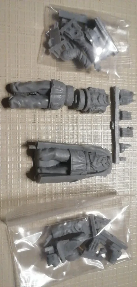 Buyer photo of this resin kit