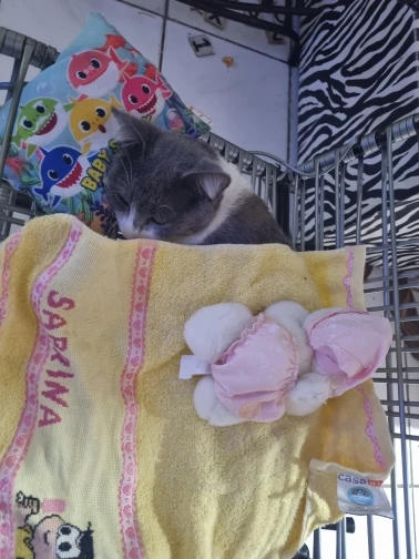 구매후기