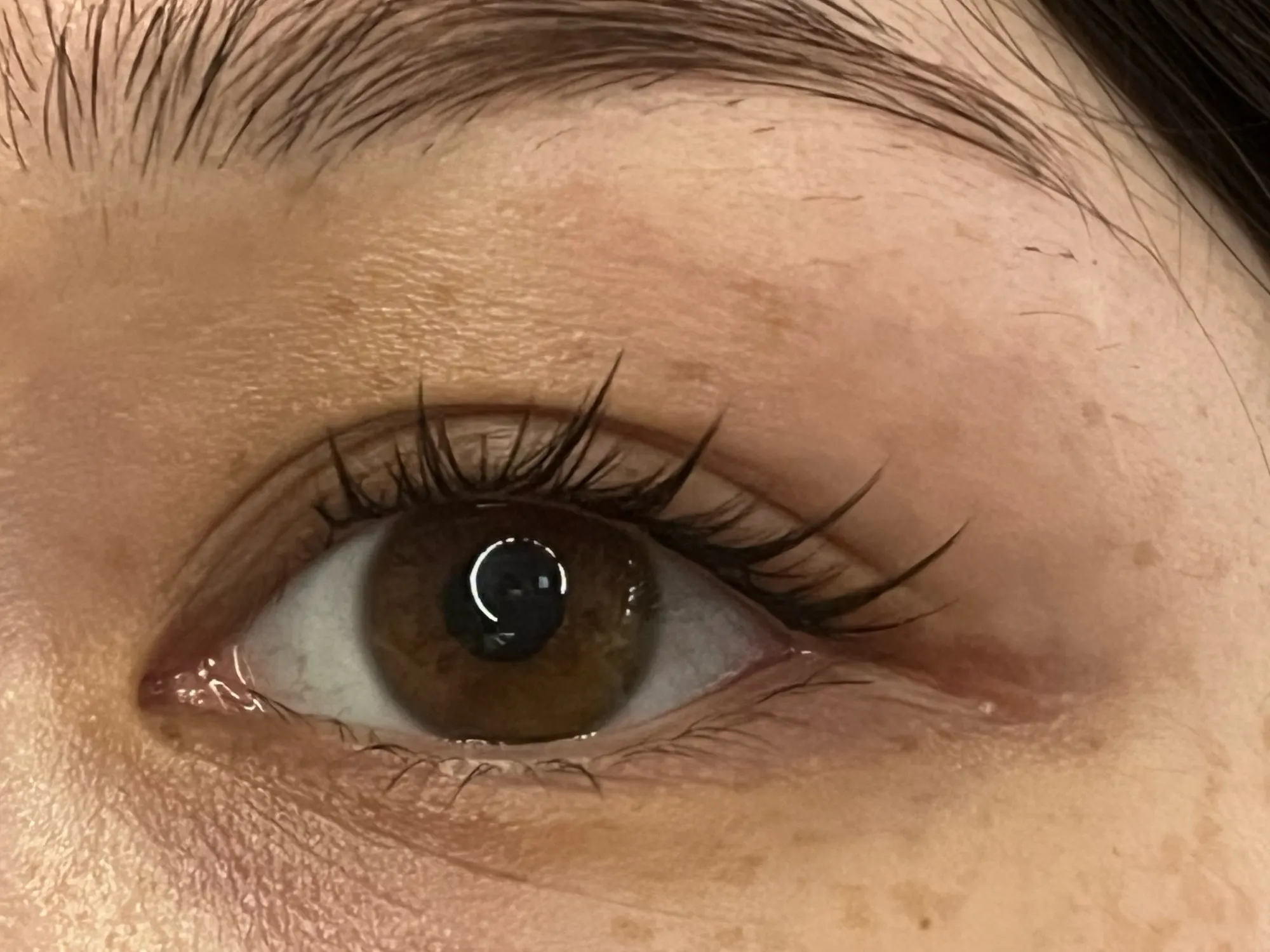 U-shaped Segmented Kpop False Eyelashes Korean Cluster Natural Individual Lash DIY Large Capacity Eyelash Manga Black Stem photo review