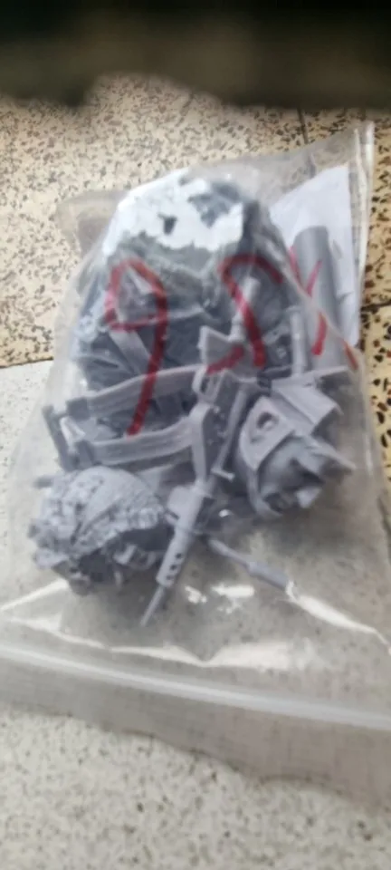 Buyer photo of this resin kit