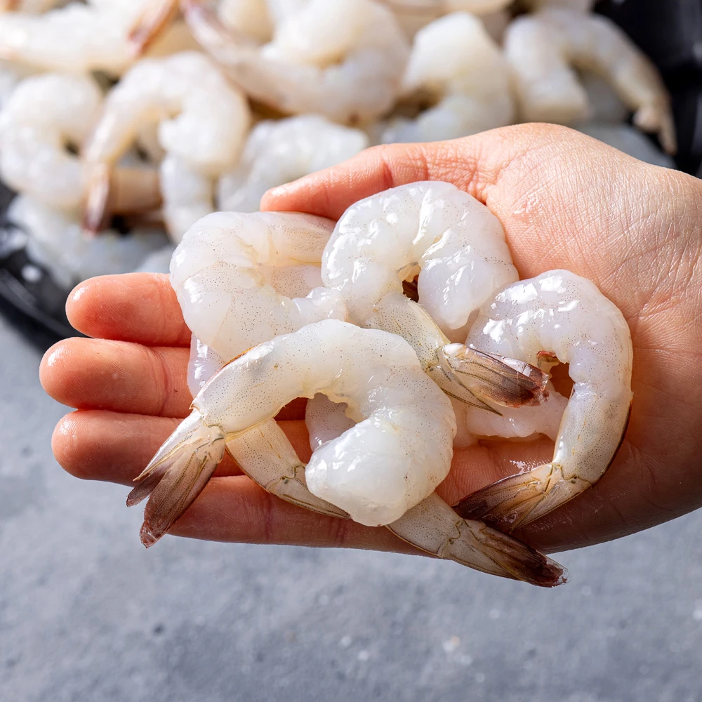 900 g de camarones cóctel frescos congelados antes de una colección de mariscos congelados