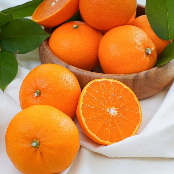 [Jeju Thank You Berry Farm] Songcheon Hye-hyehya direct production of Jeju 3kg 5kg for home gifts 