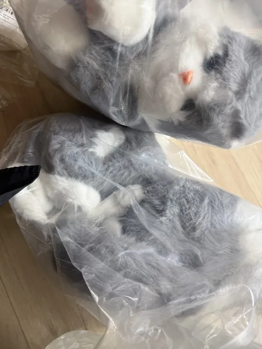리뷰 사진