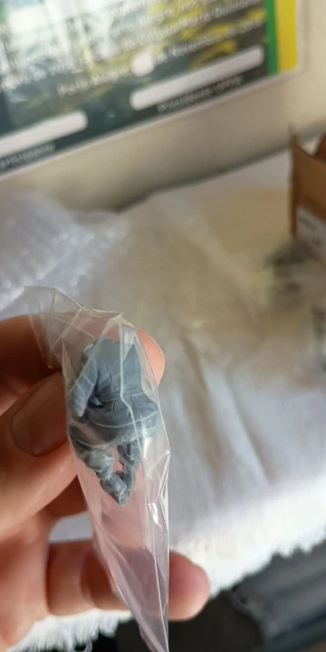 Buyer photo of this resin kit