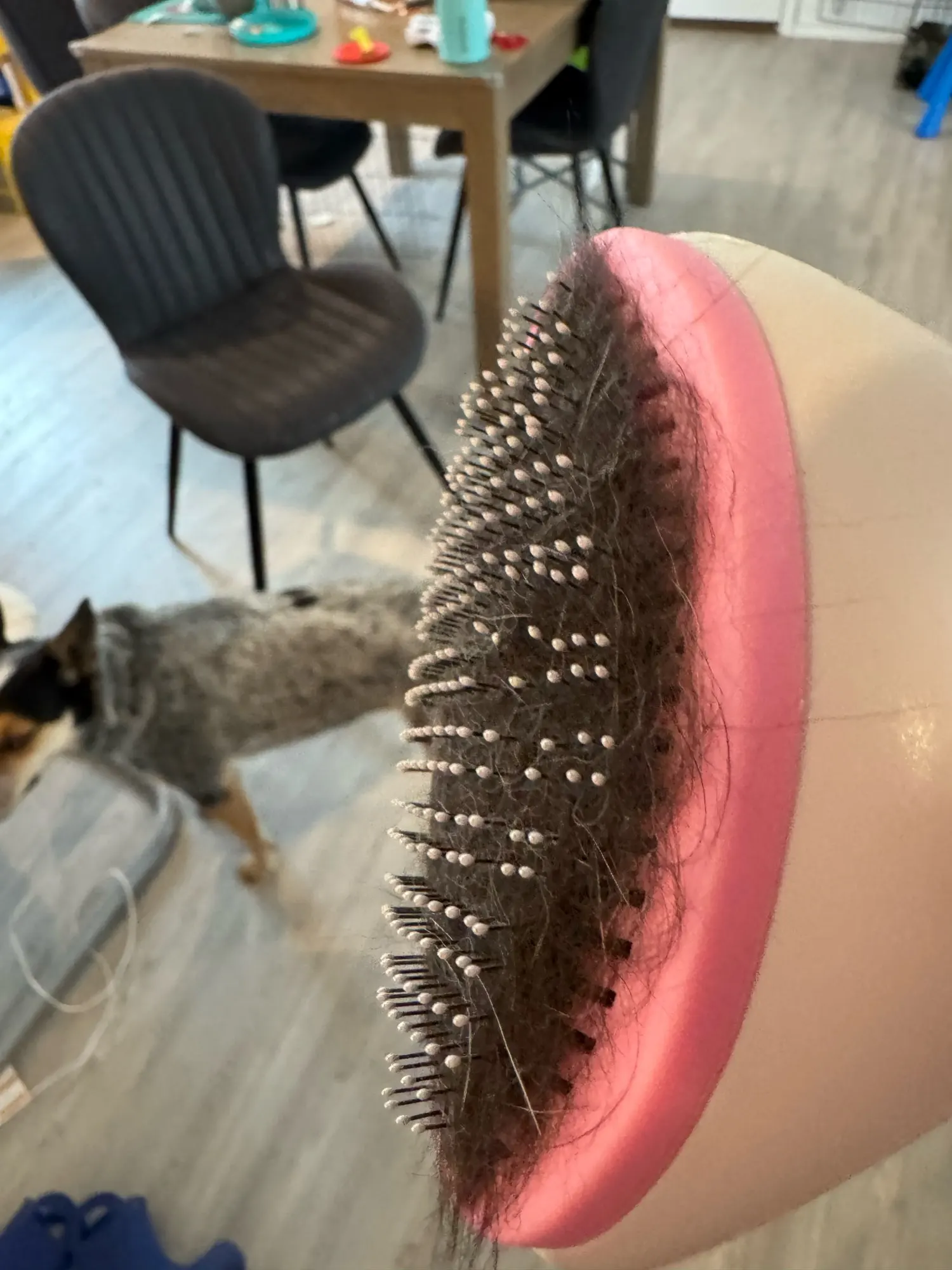 Customer Photo 14