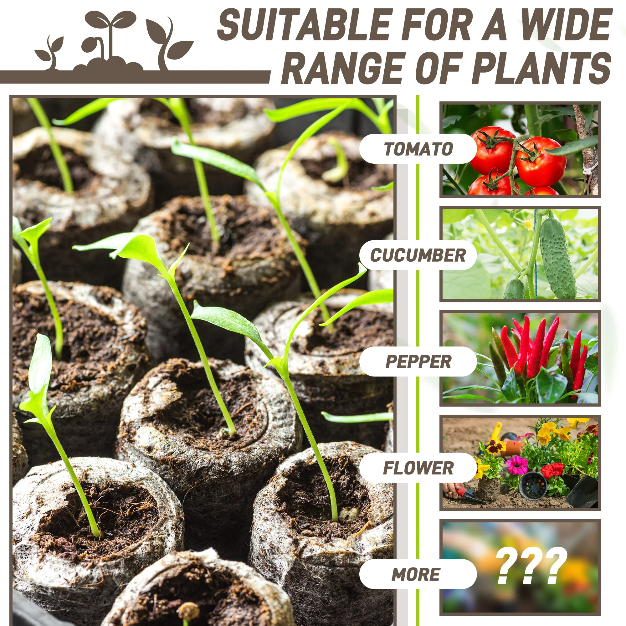 50 szt. 35mm Kompresowane tabl – Peat Pellet Tray recenzja i cena