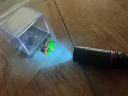 Imagen de reseña 3