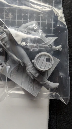 Buyer photo of this resin kit