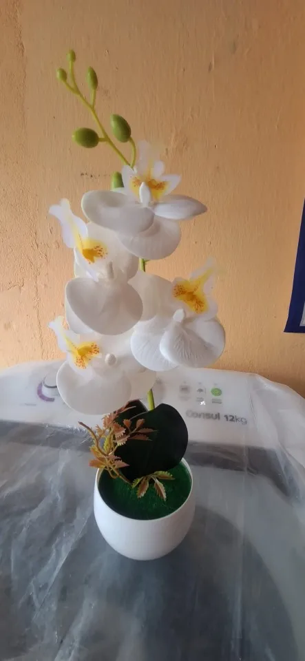 Customer photo